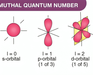 Quantum Numbers and Electron Configuration