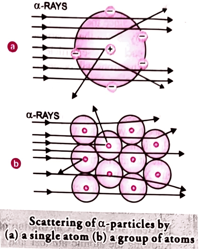 Rutherfords Nuclear Model of Atom