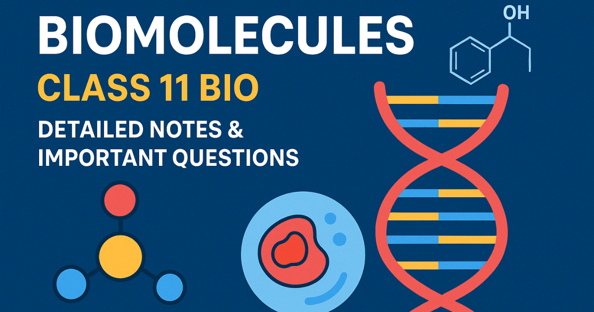 Biomolecules Class 11 Bio: Detailed Notes & Important Questions