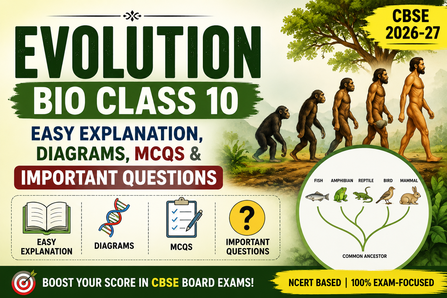 Evolution Bio Class 10: Easy Explanation, Diagrams, MCQs & Important Questions